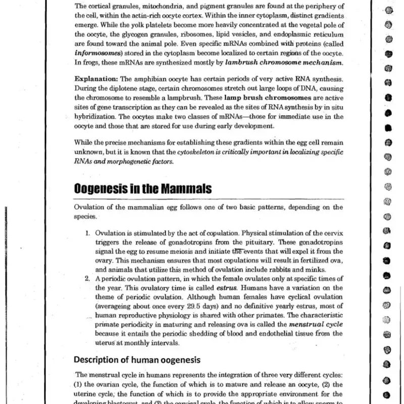 Evolution Zoology Notes | UPSC IAS 2025 Prep | Best Study Material — preview 3